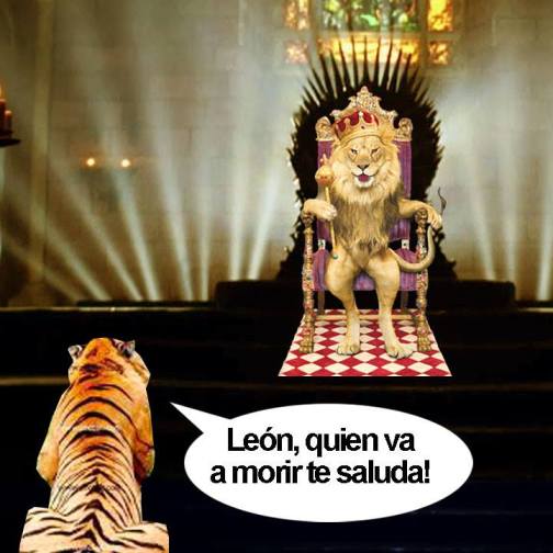 León quien va a morir te saluda