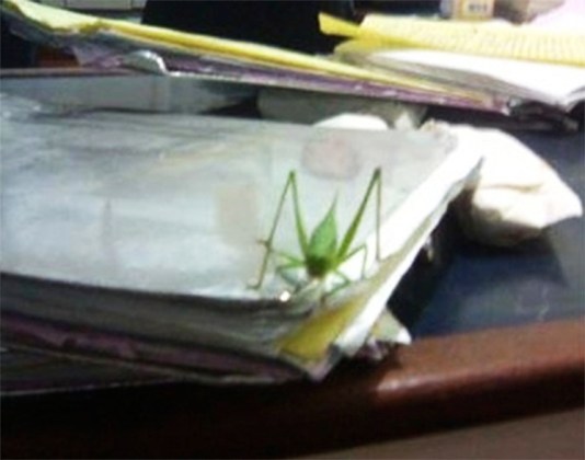 Esperanza enviada por Dios