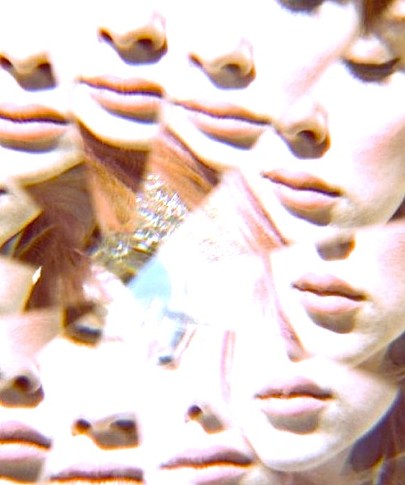 Foto de Bloglovin.com