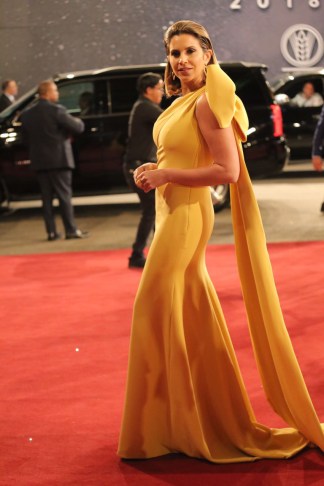 pamela sued alfombra roja