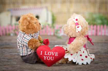 photo of teddy bears sitting on wood